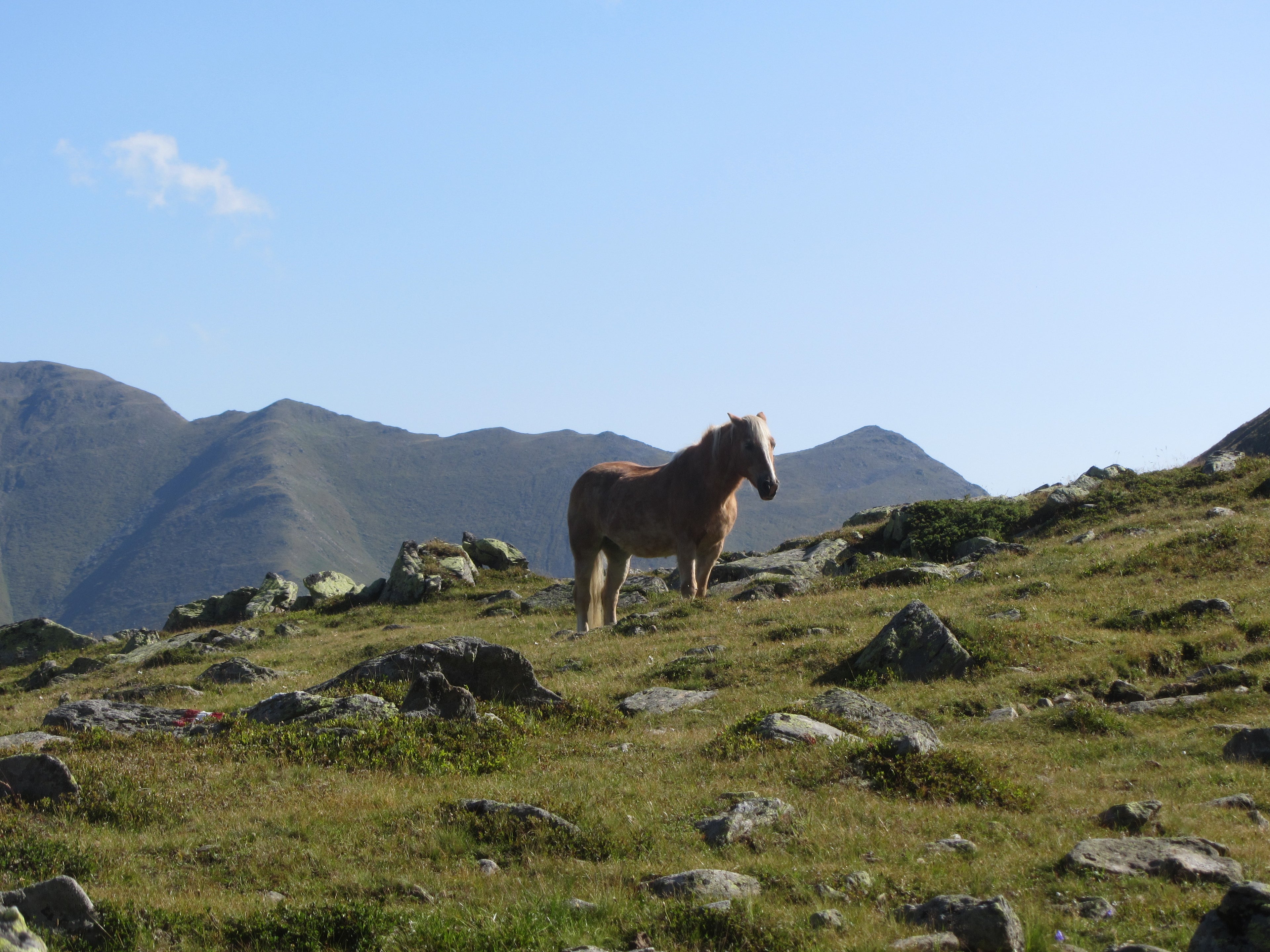 Tiroler Hochgebirgstour: 7 Tage / 6 Nächte